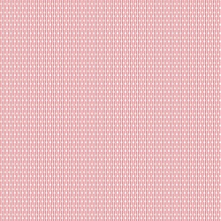 Pink/Cream - Rain Stripe